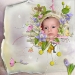 fleurs-mauves-
