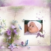 livre-mauve