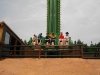 le Cactus