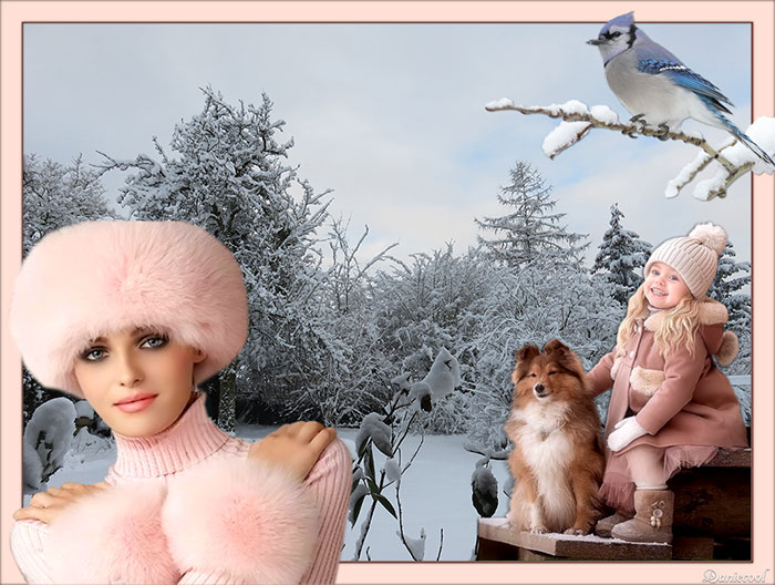 Beauté de l'hiver 