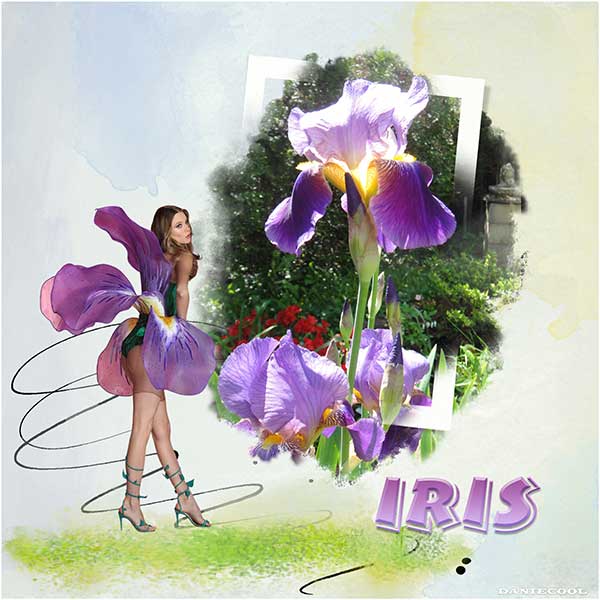 jardin en fleurs!