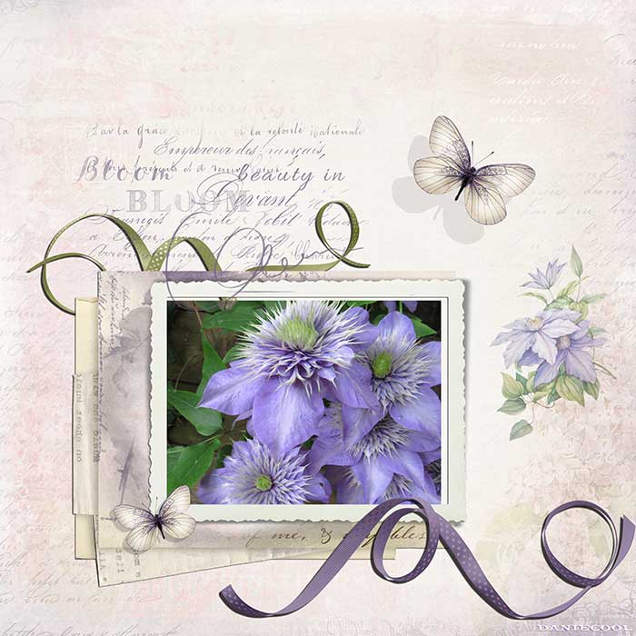 fleurs du jardin