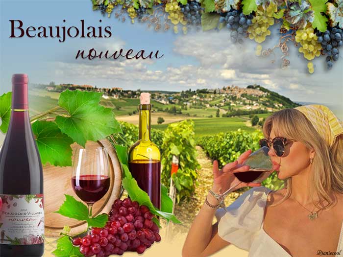 Le beaujolais nouveau arrive !